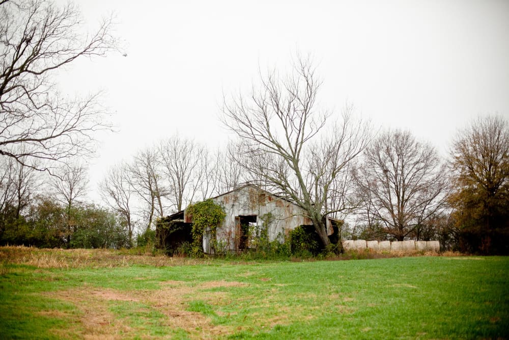 reclaimed-wood-rustic-sons-of-sawdust-wood-working